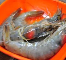 Large Green Shrimp