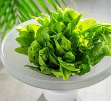 Pea Shoots