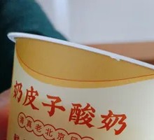 Creamy Milk Yogurt