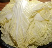 Napa cabbage