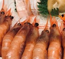 Grilled Large Shrimp