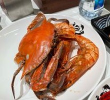 Spider Crab