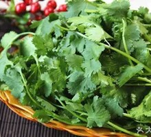 Fresh Lamb with Cilantro