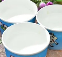 Special Homemade Yogurt