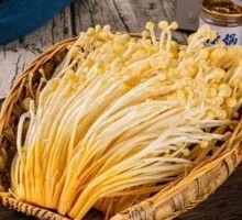 Enoki Mushroom