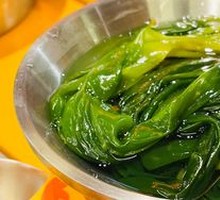 Xiapu Kelp Sprout