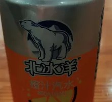 Arctic Ocean 200ml Can