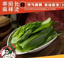 Oilseed lettuce