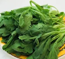 Chinese chrysanthemum greens