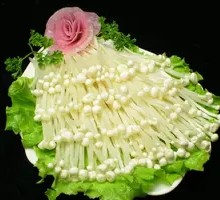 Enoki Mushroom