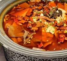 Premium Maoxuewang