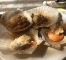 Scallop
