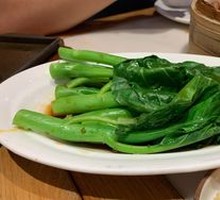 Steamed Bok Choy in White Sauce