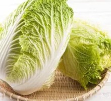 Napa cabbage