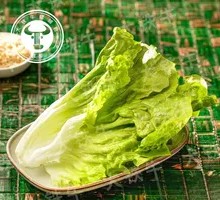 TB Lettuce