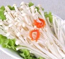 Enoki Mushroom