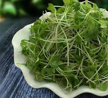 Radish Sprouts
