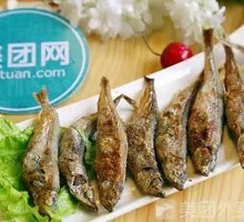 Mullet Fish