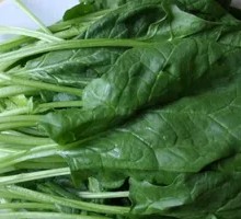 Spinach