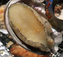 Abalone