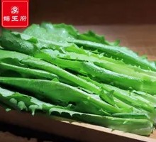 Oilseed lettuce