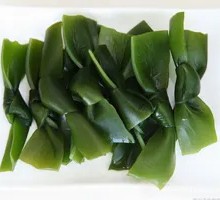 Kelp