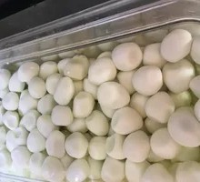 Quail Egg