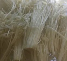 Enoki Mushroom