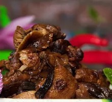 Northeast Wild Mushroom