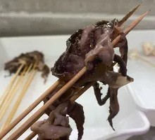 Squid
