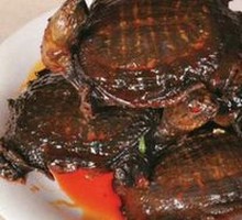 Spicy Softshell Turtle