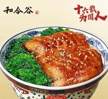 Eel Rice Bowl