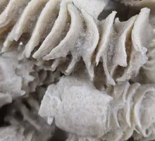 Thousand Leaf Magic Belly