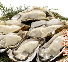 Steam Pot Oysters