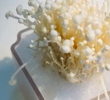 Organic Enoki Mushrooms