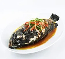 Steamed Grouper