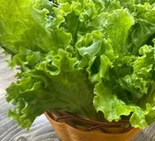 Lettuce