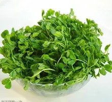 Chinese pea shoots