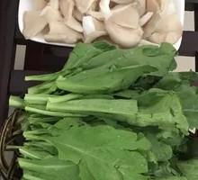 Chinese chrysanthemum greens