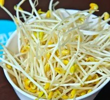 Mung Bean Sprouts
