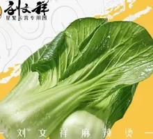 Chinese cabbage