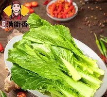 Oilseed lettuce