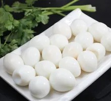 Quail Egg