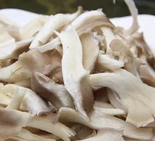 Enoki Mushroom