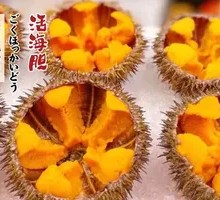 Limited Sea Urchin