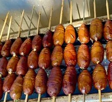 Roasted Cicada Larvae