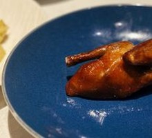 Tang Palace Gold Medal Pigeon