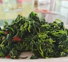 Mixed Wild Greens Salad