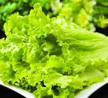 Romaine Lettuce
