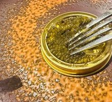 Sturgeon Caviar